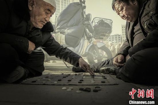 图为焦生福的作品《酣战》。青海省祁连山自然保护协会供图 图为焦生福的作品《酣战》。青海省祁连山自然保护协会供图