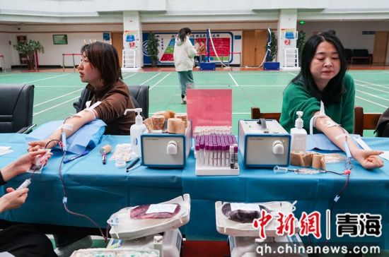 图为青海移动西宁分公司职工进行无偿献血。 马铭言摄 图为青海移动西宁分公司职工进行无偿献血。 马铭言摄