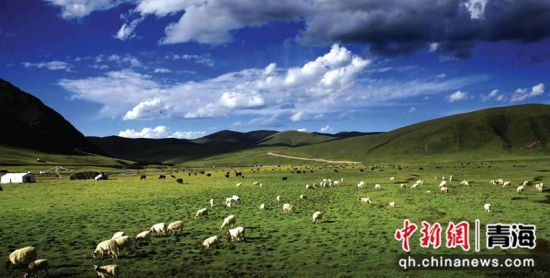 资料图为海晏县境内金银滩草原美景。海晏县委宣传部供图 资料图为海晏县境内金银滩草原美景。海晏县委宣传部供图