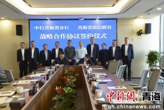 图为签约仪式现场。 中行宣 供图 图为签约仪式现场。 中行宣 供图