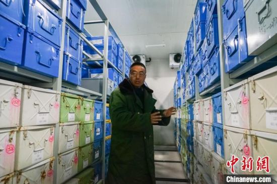 图为4月2日,侯万伟在(中国)国家农作物种质资源复份库(西宁)向记者介绍保存情况。马铭言 摄 图为4月2日,侯万伟在(中国)国家农作物种质资源复份库(西宁)向记者介绍保存情况。马铭言 摄