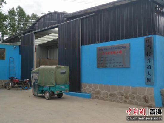 图为江当村养殖大棚。 建行青海省分行供图 图为江当村养殖大棚。 建行青海省分行供图