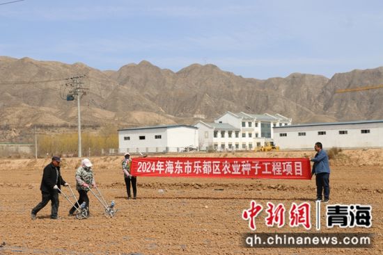 种植现场。乐宣 供图 种植现场。乐宣 供图