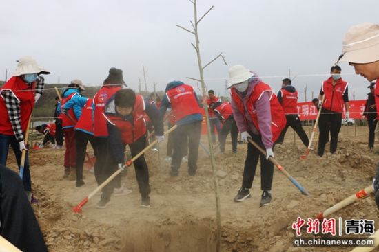 图为活动现场。马敏 摄 图为活动现场。马敏 摄