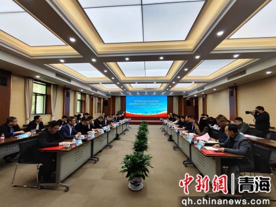 图为交流会现场。苏宣 供图 图为交流会现场。苏宣 供图