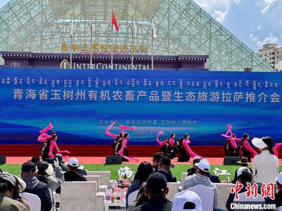 图为推介会现场。李江宁 摄 图为推介会现场。李江宁 摄