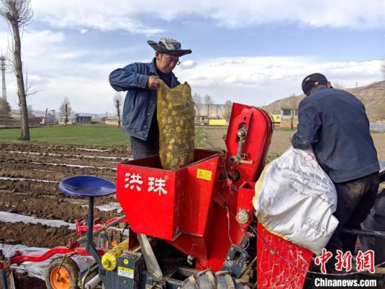 图为刘建荣正在种植马铃薯。俞惠珍摄 图为刘建荣正在种植马铃薯。俞惠珍摄