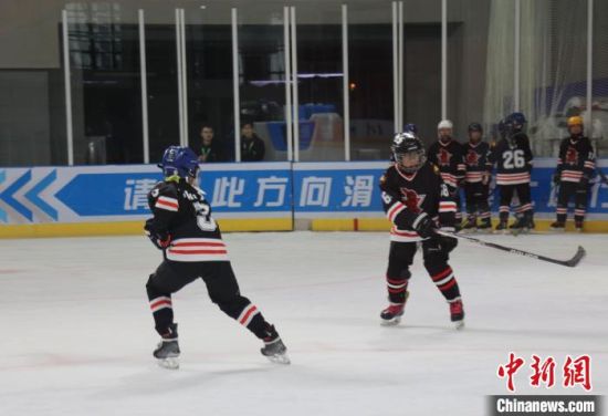 图为参赛队伍练习冰球。张添福摄 图为参赛队伍练习冰球。张添福摄