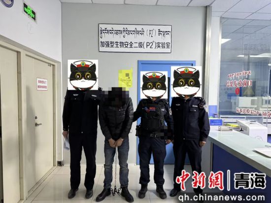 图为民警将犯罪嫌疑人抓捕归案。兴海县委宣传部供图 图为民警将犯罪嫌疑人抓捕归案。兴海县委宣传部供图