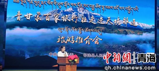 图为推介会现场。主办方供图 图为推介会现场。主办方供图