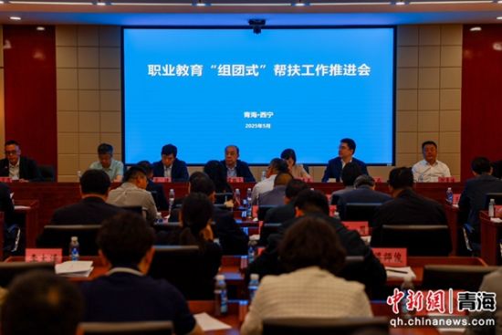 图为推进会现场。薛蒂 摄