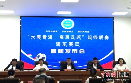 图为发布会现场。陈宗淇 摄 图为发布会现场。陈宗淇 摄