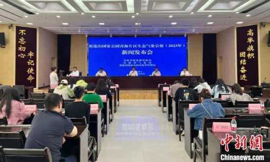 图为新闻发布会现场。李江宁 摄 图为新闻发布会现场。李江宁 摄