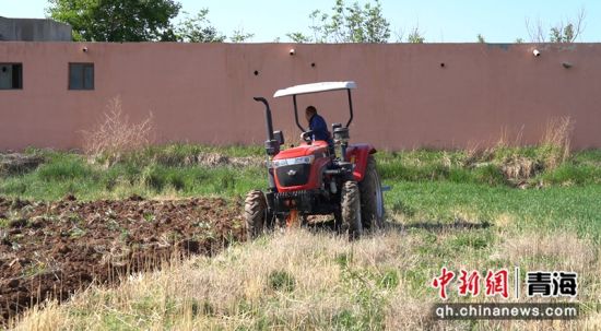 图为种植现场。李晶 供图 图为种植现场。李晶 供图