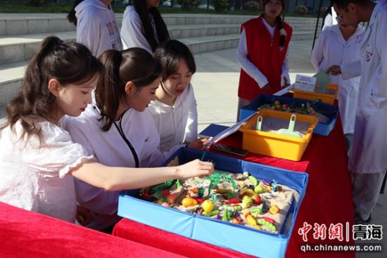 图为学生参与心理健康活动。青海卫生职业技术学院供图 图为学生参与心理健康活动。青海卫生职业技术学院供图