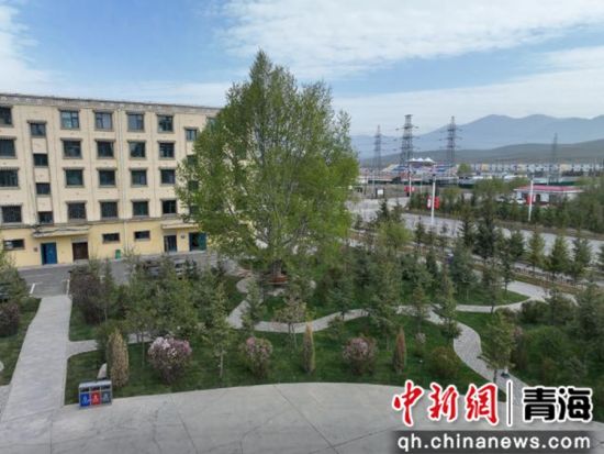 资料图。海晏县供图 资料图。海晏县供图