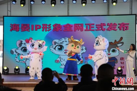 图为海晏文创ip形象发布。张添福摄 图为海晏文创ip形象发布。张添福摄