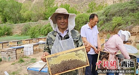 图为养殖现场。乐都区委员会宣传部 供图 图为养殖现场。乐都区委员会宣传部 供图