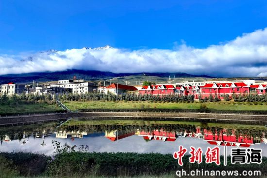 青海祁连生态治理有“新招”山清水秀入“画”来 青海祁连生态治理有“新招”山清水秀入“画”来