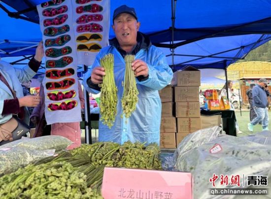 图为刘明展示野生蕨菜。陈宗淇 摄 图为刘明展示野生蕨菜。陈宗淇 摄