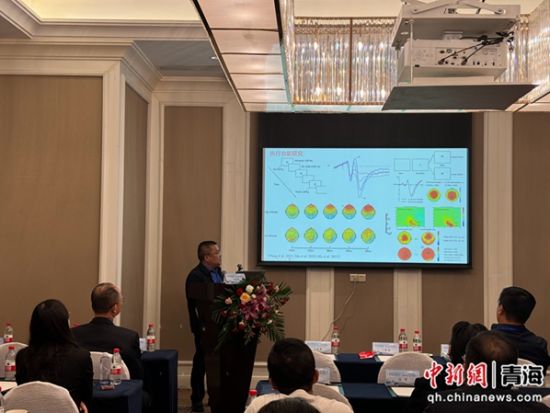 图为专家进行学术讲座。 孙睿 摄 图为专家进行学术讲座。 孙睿 摄
