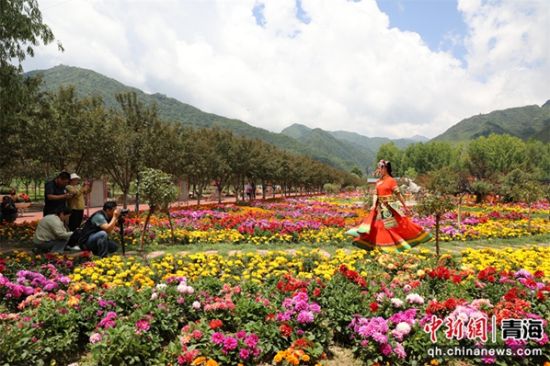 图为代言人在采风活动中。马芳 摄 图为代言人在采风活动中。马芳 摄
