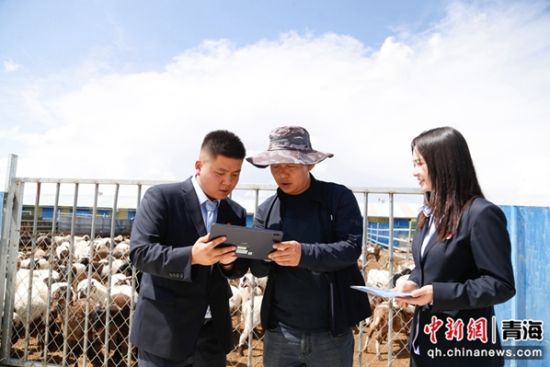 图为农行工作人员现场对企业负责人放贷。马铭言 摄