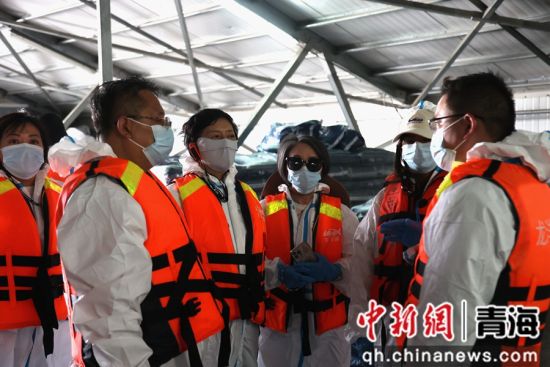 图为香港媒体代表团在青海省海南藏族自治州龙羊峡水库的三文鱼养殖基地,探访了解青海省冷水鱼产业发展情况。张海雯摄 图为香港媒体代表团在青海省海南藏族自治州龙羊峡水库的三文鱼养殖基地,探访了解青海省冷水鱼产业发展情况。张海雯摄