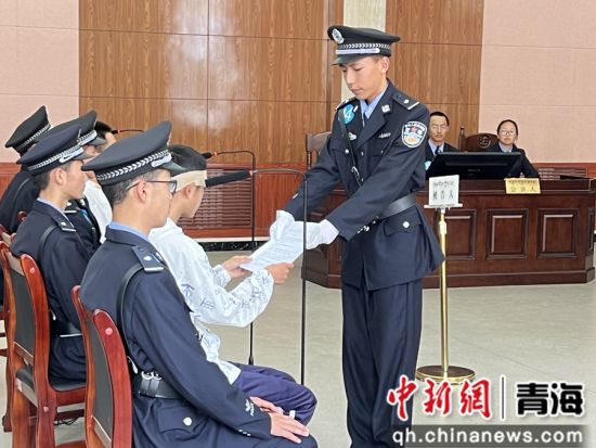 图为大赛现场。马平平供图 图为大赛现场。马平平供图