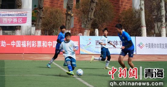 图为参加比赛的小球员。孙海摄 图为参加比赛的小球员。孙海摄