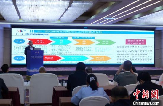 图为国家知识产权局相关部门负责人围绕商标品牌以及地理标志保护政策等进行解读。周福强摄