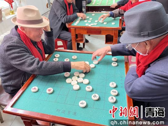 图为老人们围坐一堂,切磋棋艺。共和融媒供图 图为老人们围坐一堂,切磋棋艺。共和融媒供图