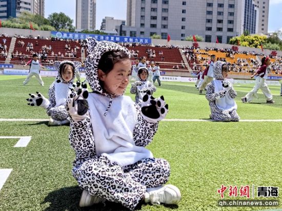 图为城西区的小演员扮演“雪豹”。李隽 摄 图为城西区的小演员扮演“雪豹”。李隽 摄