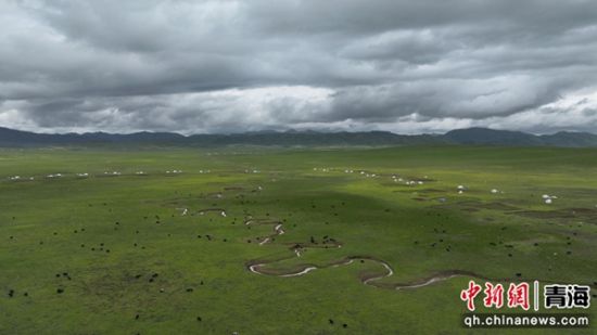 图为盛夏的河南县牧区。桑吉杰供图 图为盛夏的河南县牧区。桑吉杰供图