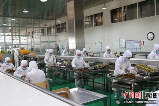 图为产品加工园。张海霞供图 图为产品加工园。张海霞供图