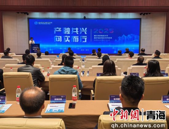 资料图为建行青海省分行与西宁经济技术开发区战略合作签约仪式。 祁增蓓摄