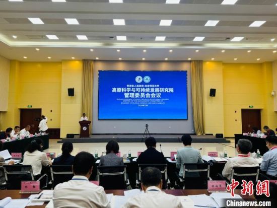 图为会议现场。中新网记者 孙睿 摄 图为会议现场。中新网记者 孙睿 摄