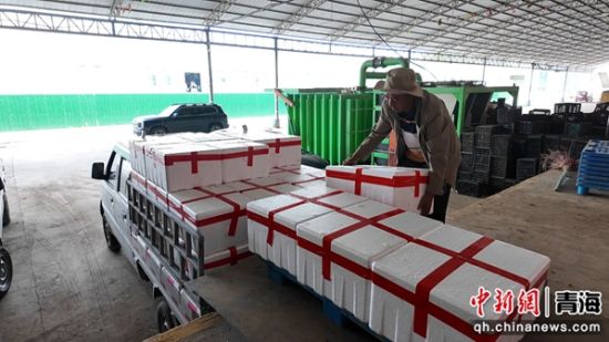 图为工作人员从保鲜库装车。俞惠珍供图