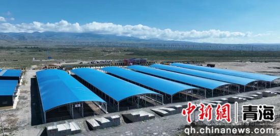 图为航拍共和县活畜交易中心。共和融媒供图 图为航拍共和县活畜交易中心。共和融媒供图
