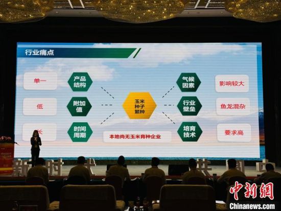图为比赛现场。 中新网记者 孙睿 摄 图为比赛现场。 中新网记者 孙睿 摄