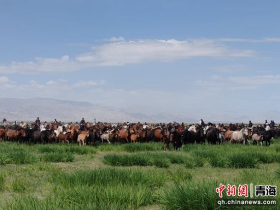 图为比赛现场。 都兰县委宣传部 供图 图为比赛现场。 都兰县委宣传部 供图