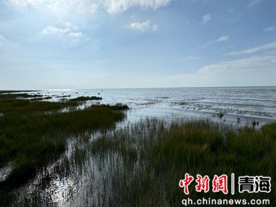 图为仙女湾景区内湿地风光。潘雨洁 摄 图为仙女湾景区内湿地风光。潘雨洁 摄