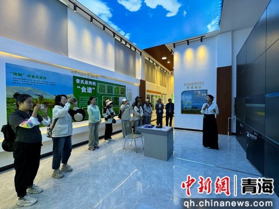 图为游客参观普氏原羚自然科普体验基地,了解普氏原羚生活习性。潘雨洁 摄 图为游客参观普氏原羚自然科普体验基地,了解普氏原羚生活习性。潘雨洁 摄