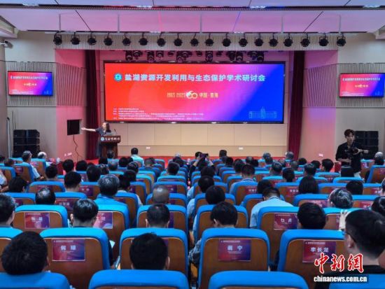 图为研讨会开幕式现场。李隽 摄