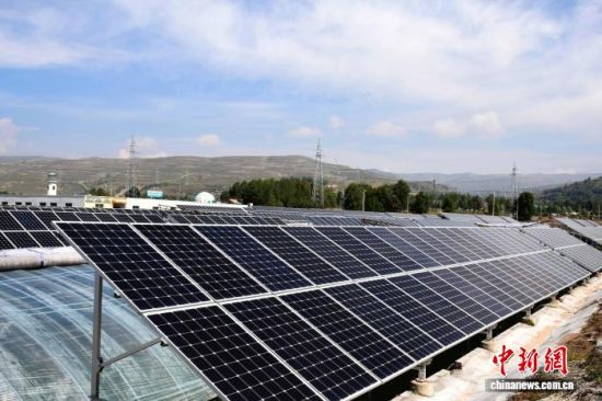 图为西宁市大通县一处光伏农业科技大棚。(资料图片)大通县委宣传部 供图