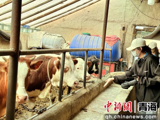 图为实践活动现场。建行青海省分行供图 图为实践活动现场。建行青海省分行供图