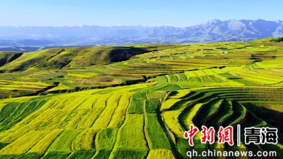 图为乐都。乐都区委宣传部 供图 图为乐都。乐都区委宣传部 供图