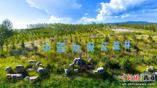 图为公益林。共和融媒供图 图为公益林。共和融媒供图