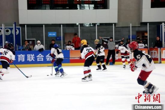 图为第四届中国青少年冰球联赛全国总决赛比赛现场。张添福 摄 图为第四届中国青少年冰球联赛全国总决赛比赛现场。张添福 摄