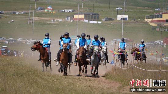 图为赛马会现场。共和融媒供图